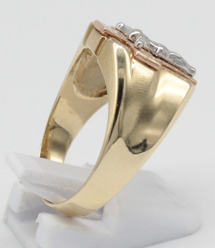 ANILLO ORO 10KL T10.5 7.0 AN10K22