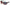 LENTES CATERPILLAR CTS8019108P