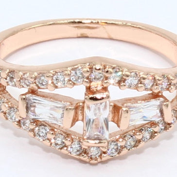 ANILLO CHAPA 8-191