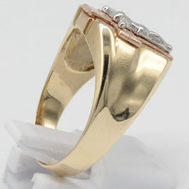 ANILLO ORO 10KL T10.5 7.0 AN10K22