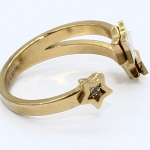 ANILLO ACERO BAD AP 077