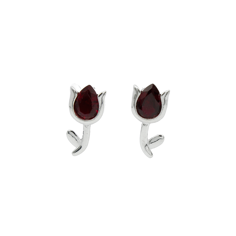 ARETES PLATA SUP 2.5 P3AM1336