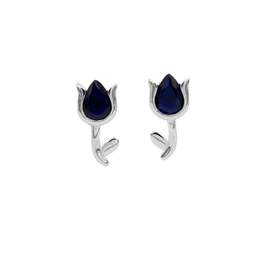 ARETES PLATA SUP 2.5 P3AM1336