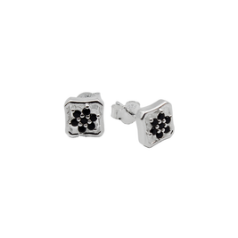 ARETES PLATA SUP 2.0 P3F1345
