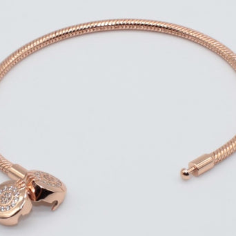 PULSERA TIPO PANDORA T19 PULPAN11