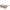 LENTES CATERPILLAR CTS8012108P