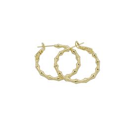 ARGOLLAS CHAPA DE ORO R-25770001